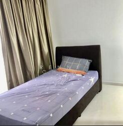 trilive photo thumbnail #9